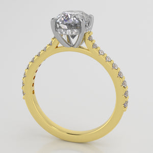 Weingarten Signature Cathedral Shared Prong w Diamond halo (lab diamonds)