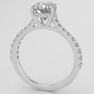 Weingarten Signature Cathedral Shared Prong w Diamond halo (lab diamonds)