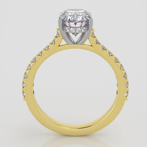 Weingarten Signature Cathedral Shared Prong w Diamond halo (lab diamonds)