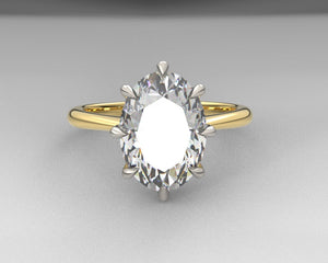 Christina's Signature Solid Cathedral Solitaire