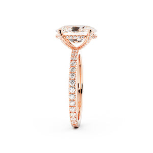 Stephanie's Signature Split Prong w Diamond Prongs Lab Grown