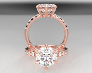 Newton's Signature Split Prong Hidden Halo w Lab Diamonds